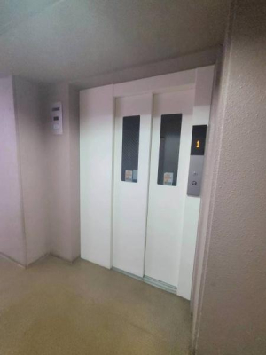 ���Ɍ����s������2���ڂ̒��Ã}���V�����̂��̑����p��