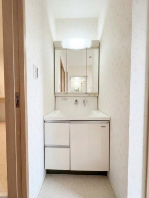 ���{�����s�r����1���ڂ̒��È�ˌ��Ă̐��ʑ�E���ʏ�