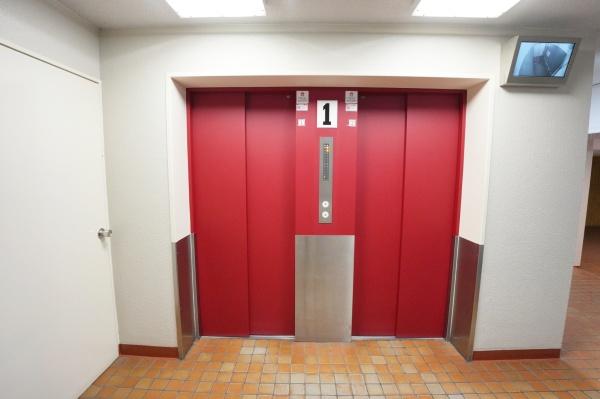 ���{���s�����V�k��1���� 11-23�̒��Ã}���V�����̂��̑����p��