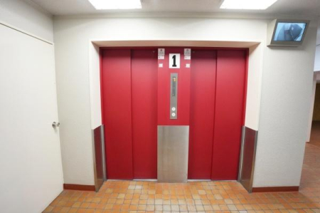 ���{���s�����V�k��1���ڂ̒��Ã}���V�����̂��̑����p��