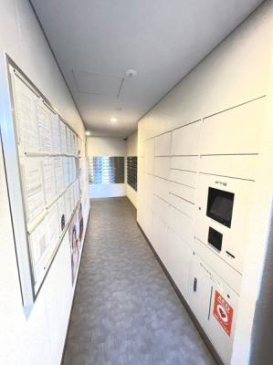 ���{����s������1���ڂ̒��Ã}���V�����̂��̑����p��