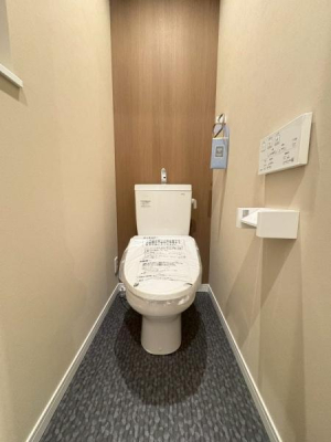 ���{�Q����s���h�����̐V�z��ˌ��Ẵg�C��