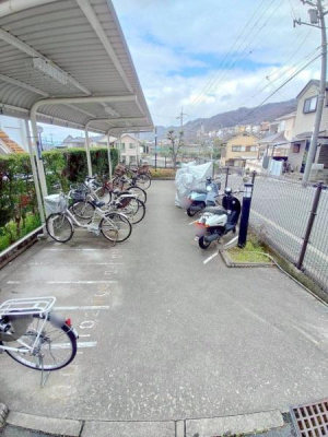 ���{�����s���ΐؒ�5���ڂ̒��Ã}���V�����̂��̑����p��