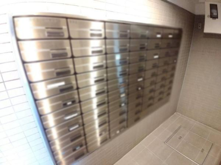 ���{�����s���ΐؒ�5���ڂ̒��Ã}���V�����̂��̑����p��