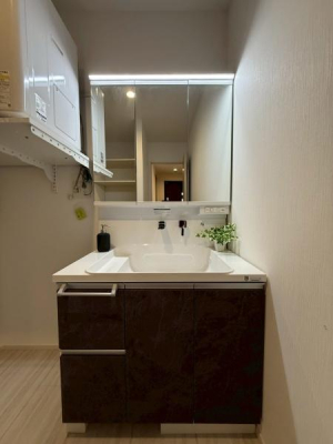 ���{�Q����s���V���̐V�z��ˌ��Ă̐��ʑ�E���ʏ�