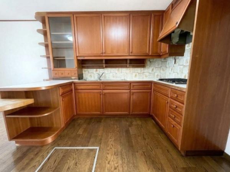 ���{�����s����{�ʐ�1���ڂ̒��È�ˌ��ẴL�b�`��