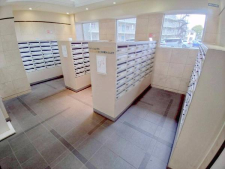 ���{�����s�����{���̒��Ã}���V�����̂��̑����p��