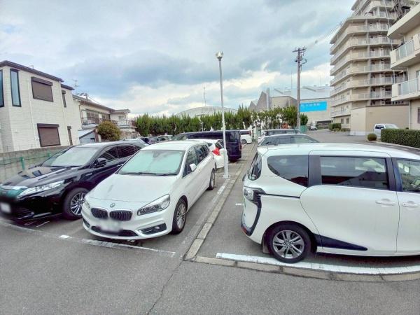 ���{�����s�����{���̒��Ã}���V�����̉摜