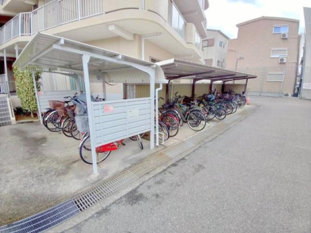 ���{�����s�����{���̒��Ã}���V�����̂��̑����p��