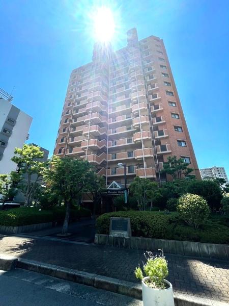 大阪府大阪市平野区平野南1丁目の中古マンションの現地外観写真