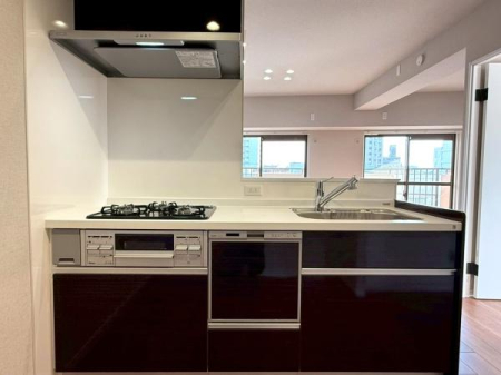 ���{���s����敽���1���ڂ̒��Ã}���V�����̃L�b�`��