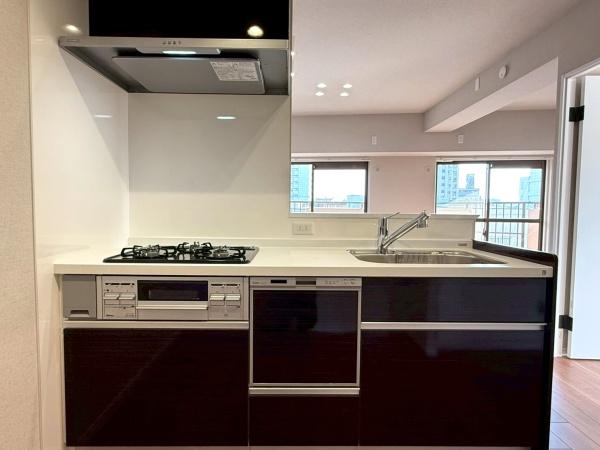 ���{���s����敽���1���ڂ̒��Ã}���V�����̃L�b�`��