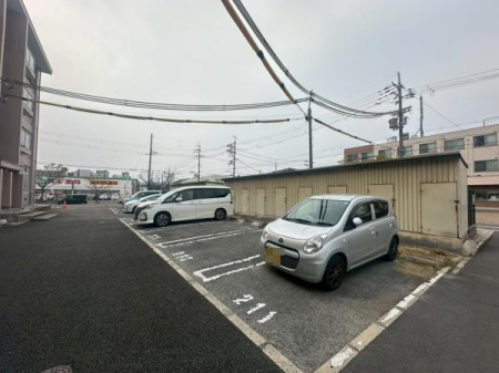 ���{��^�s��Γ����̒��Ã}���V�����̉摜