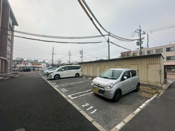 ���{��^�s��Γ����̒��Ã}���V�����̉摜