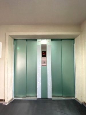 ���{���s����������2���ڂ̒��Ã}���V�����̂��̑����p��