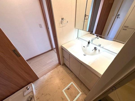 ���{�Q����s��K�����̒��Ã}���V�����̐��ʑ�E���ʏ�