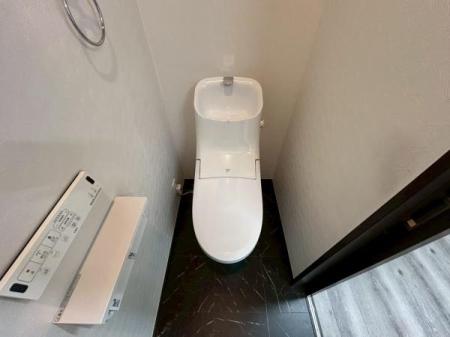 ���{����s���c��2���ڂ̒��È�ˌ��Ẵg�C��