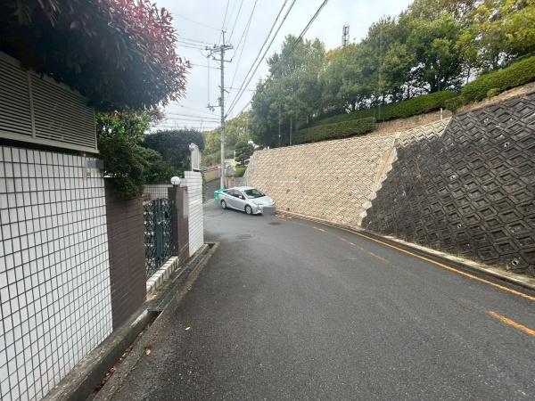 ���{�Q����s���c�쒬�̒��È�ˌ��Ă̑O�ʓ��H�܂ތ��n�ʐ^