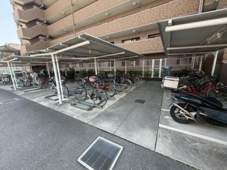 ���{�����s��~��2���ڂ̒��Ã}���V�����̂��̑����p��