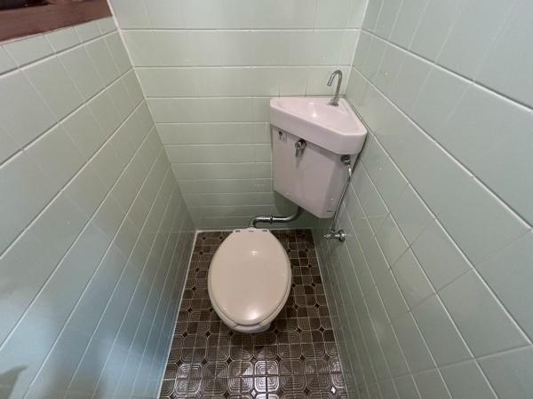 ���{�Q����s����7���ڂ̒��È�ˌ��Ẵg�C��