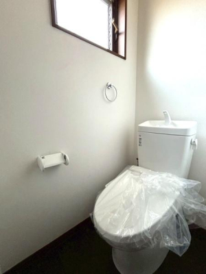 ���{��^�s�l�{3���ڂ̒��È�ˌ��Ẵg�C��