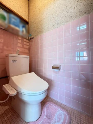 ���{�����s��]�{��3���ڂ̒��È�ˌ��Ẵg�C��