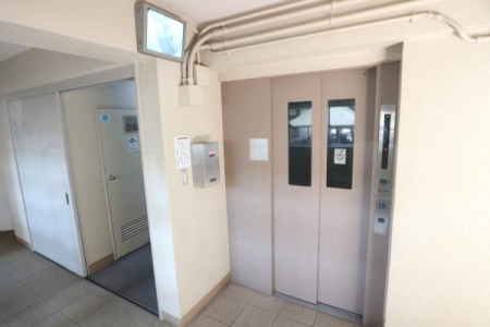 ���{����s���c��5���ڂ̒��Ã}���V�����̂��̑����p��