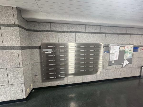 ���{�����s���c��2���ڂ̒��Ã}���V�����̂��̑����p��