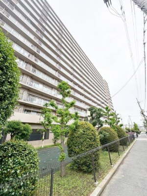 ���{���s�����O���{��1���� 16-27�̒��Ã}���V�����̌��n�O�ώʐ^