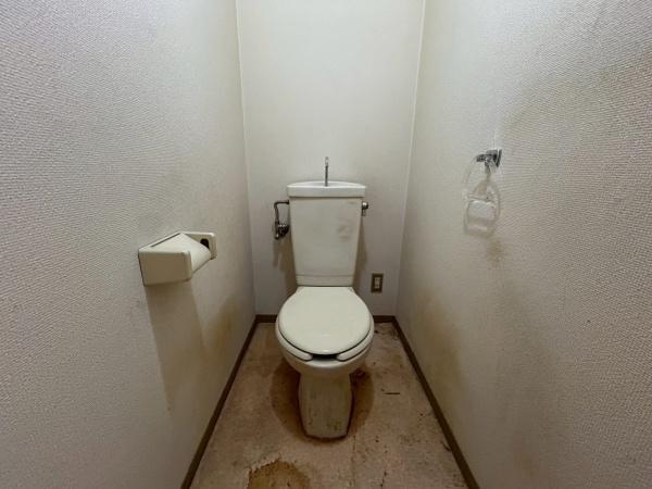 ���{�Q����s�������̒��Ã}���V�����̃g�C��