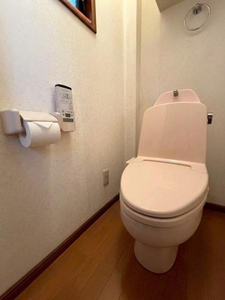 ���{�����s����]1���ڂ̒��È�ˌ��Ẵg�C��