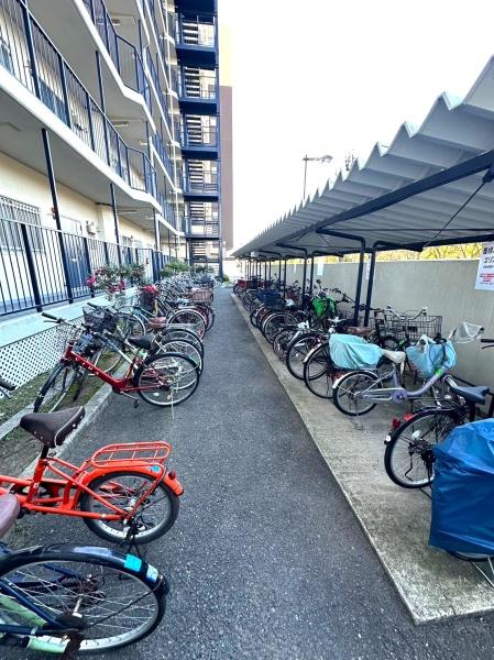 ���{���s���Z�g��������c1���ڂ̒��Ã}���V�����̂��̑����p��