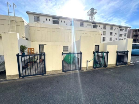 ���{���s���Z�g��������c1���ڂ̒��Ã}���V�����̂��̑����p��