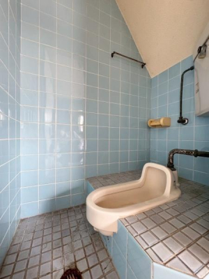 ���{��^�s����4���ڂ̒��È�ˌ��Ẵg�C��