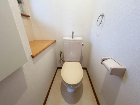 ���{�����s�����������̒��È�ˌ��Ẵg�C��