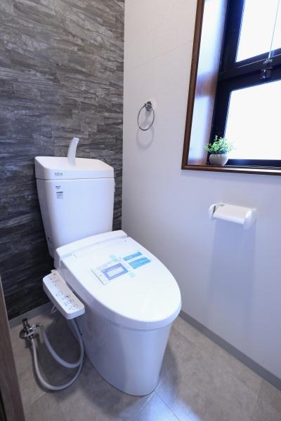 ���{���s����搶�쐼1���ڂ̒��È�ˌ��Ẵg�C��