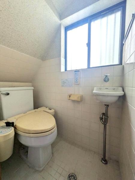 ���{���s����搶�쐼4���ڂ̒��È�ˌ��Ẵg�C��