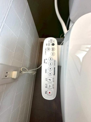 ���{���s�����擌����3���ڂ̒��È�ˌ��Ẵg�C��