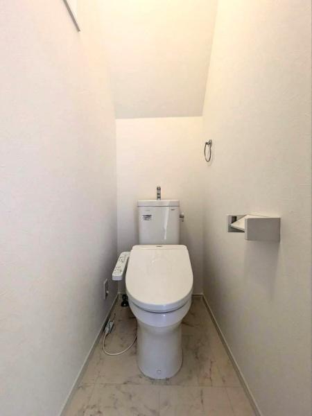 ���{���s������卡����2���ڂ̒��È�ˌ��Ẵg�C��