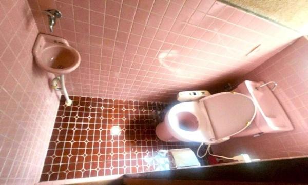 ���{���s����撆�쐼1���ڂ̒��È�ˌ��Ẵg�C��
