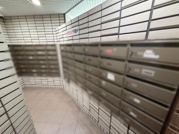 ���{�����s���Z������1���ڂ̒��Ã}���V�����̂��̑����p��