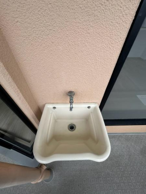 ���{�Q����s�ŏ㍂�˒��̒��Ã}���V�����̂��̑�