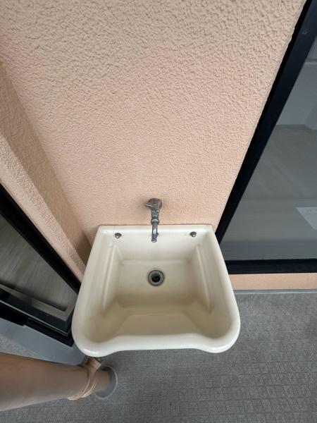 ���{�Q����s�ŏ㍂�˒��̒��Ã}���V�����̂��̑�