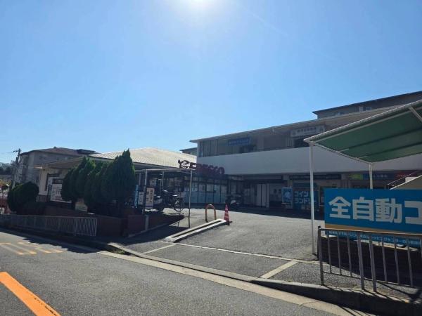 ���{���c�s�V������̒��Ã}���V�����̎��ӊ�