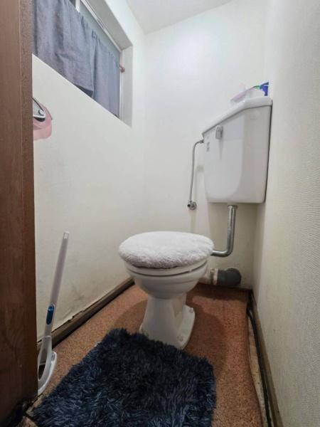 ���{�Q����s�ΒÌ����̒��È�ˌ��Ẵg�C��