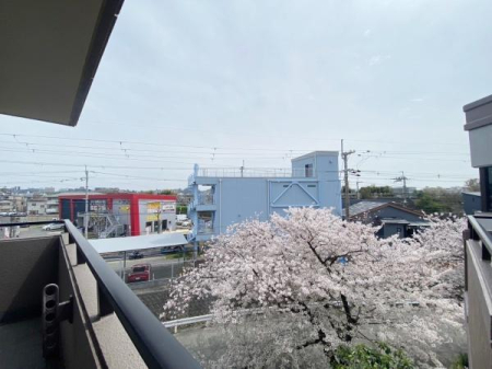 {Ls쓌1ڂ̒Ã}ṼoRj[