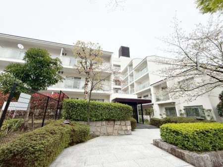 ���{�L���s����u3���ڂ̒��Ã}���V�����̌��n�O�ώʐ^