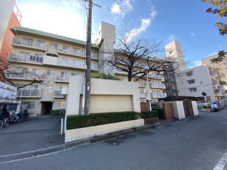 ���{���c�s�]�̖ؒ��̒��Ã}���V�����̌��n�O�ώʐ^